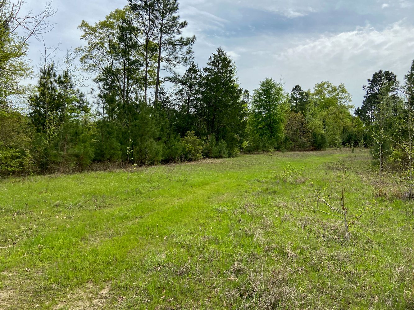 00 CR 3109, Omaha, TX 75571